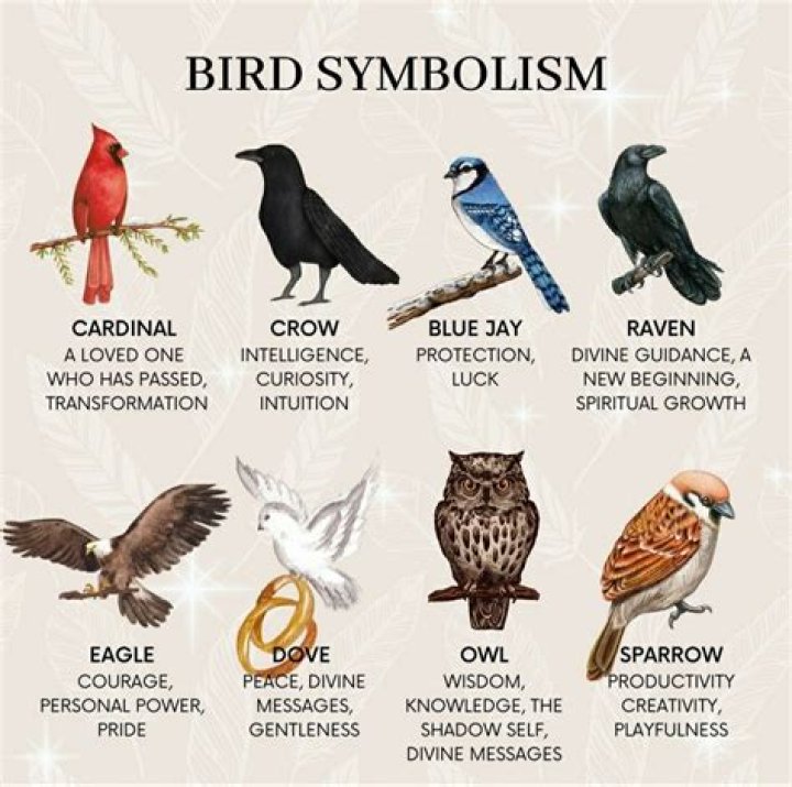 Revealed: The Symbolism Behind Common Family Symbols